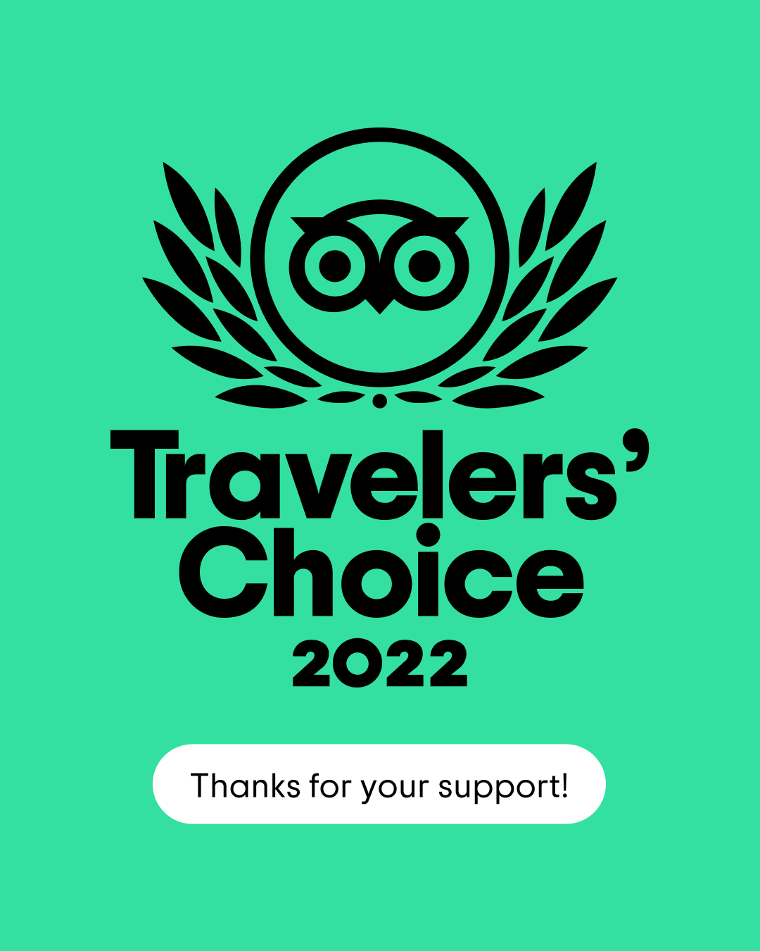 Logo Travelers Choice 2022